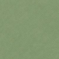 Möbelstoff "UTTARIO VELVET", B:140cm, Meterware