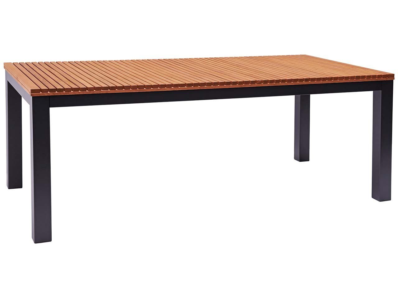 Berrissimo-200x100cm Gartenmöbel-Set Berrissimo 9 - tlg. 1 Tisch 200 x 100 cm und 8 Sessel
